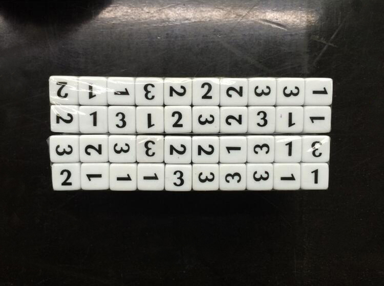 Printed Logo Dice - NO.14